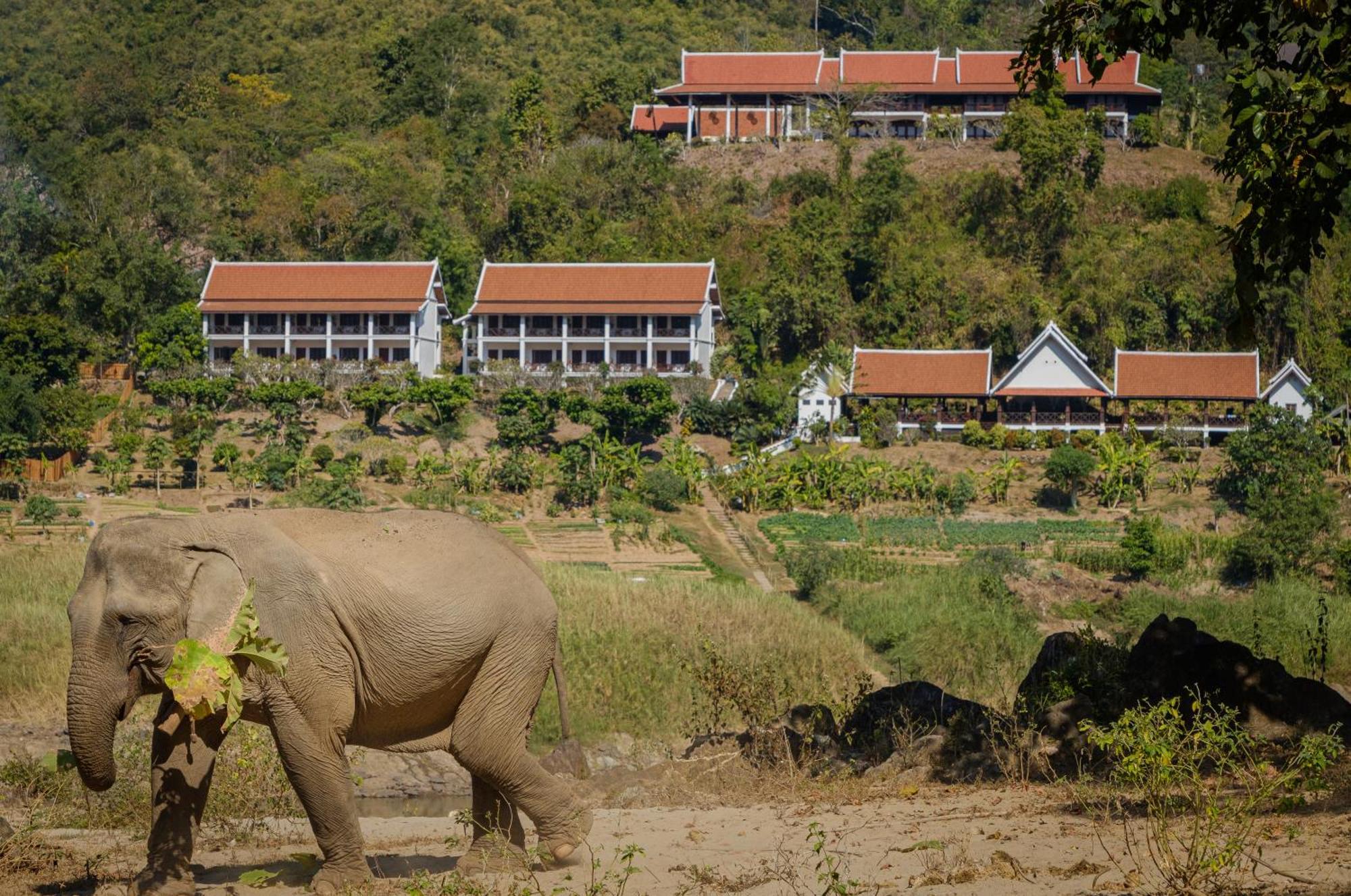 The Sanctuary Pakbeng Lodge Dış mekan fotoğraf